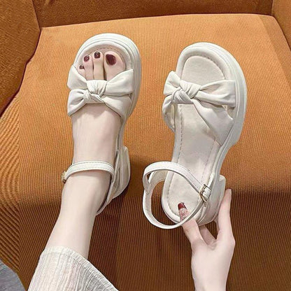 New Chunky Heel Ankle Fashion Korean Sandals for Women